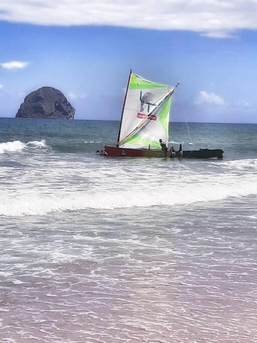 Superbe Studio, A 20 Metres De La Plage, Acces Direct Grande Plage Diamant Le Diamant Kültér fotó