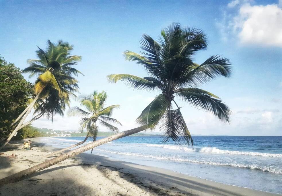 Superbe Studio, A 20 Metres De La Plage, Acces Direct Grande Plage Diamant Le Diamant Kültér fotó