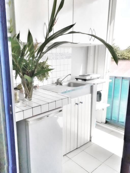 Superbe Studio, A 20 Metres De La Plage, Acces Direct Grande Plage Diamant Le Diamant Kültér fotó